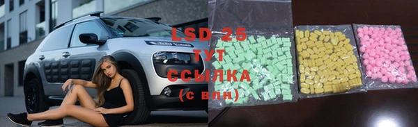 крисы Баксан