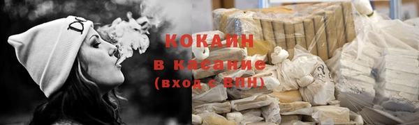 крисы Баксан