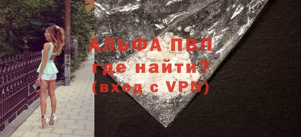 крисы Баксан