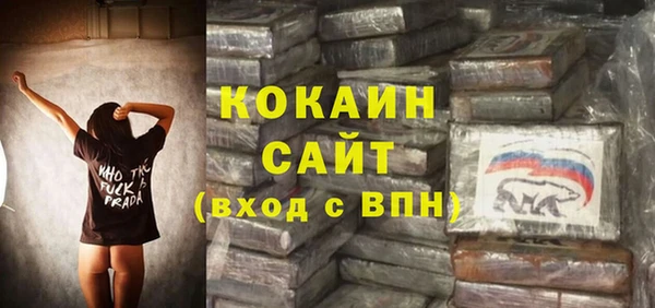 крисы Баксан