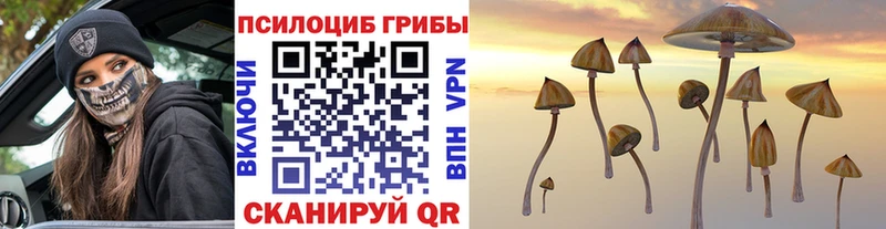 Псилоцибиновые грибы Cubensis  закладка  Черняховск 