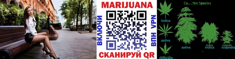 МАРИХУАНА конопля  Черняховск 